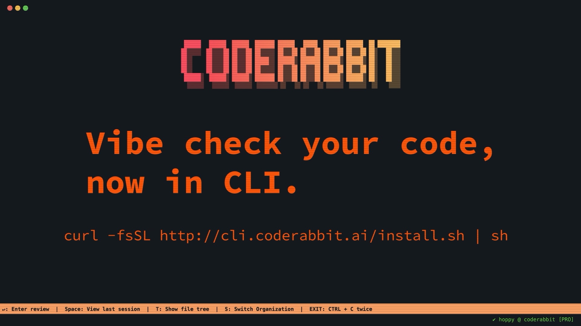CodeRabbit CLI launch graphic with the headline Vibe check your code, now in CLI.